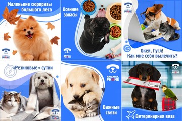 Ветеринарный онлайн сервис для владельцев домашних животных