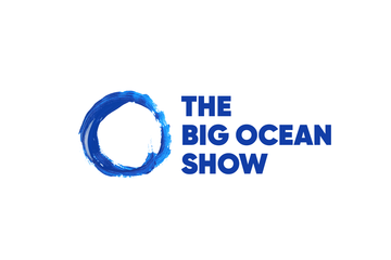 Фирменный стиль для международного фестиваля "The Big Ocean Show"