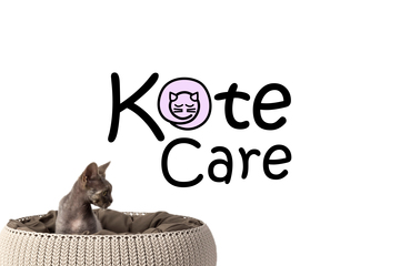 Логотип для бренда занимающегося кошачьими лежанками