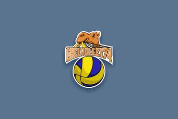 Общественная организация "Федерация волейбола" г. Челябинск