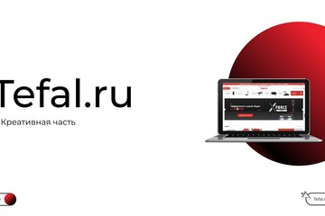 Развитие официального магазина Tefal.ru посредством D2C стратегии
